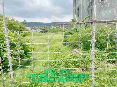 售彰化縣員林鎮員林員水路農地(254373)-住商不動產農地2,400萬