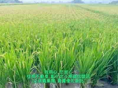 售彰化縣溪州鄉溪州交流道旁建地+田地(254382)-住商不動產農地+建地2,872萬