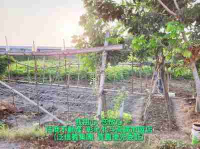 售社頭農地(055602)-住商不動產農地698萬