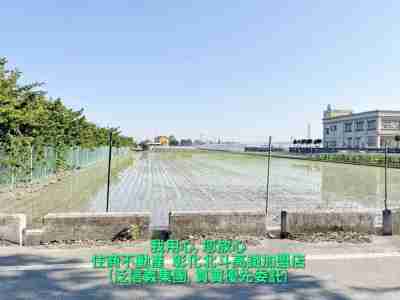 售彰化縣田尾鄉田尾海豐崙大面寬美田(136584)-住商不動產農地1,650萬