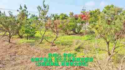 售獨家!彰化高鐵站旁增值農地(096738)-住商不動產農地1,355萬