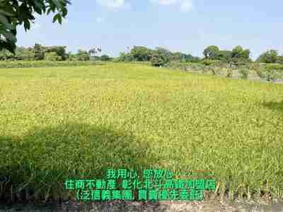 售溪州8米路農地(221270)-住商不動產農地2,333萬