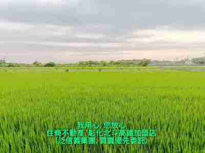 售溪州新興段美田地(187633)-住商不動產農地630萬