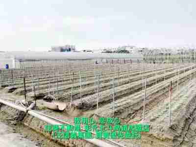 售彰化縣北斗鎮北斗工業區旁農地(221325)-住商不動產農地1,660萬