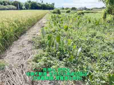 售田中山腳路旁文武美田(一)(221375)-住商不動產農地380萬