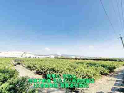 售彰化縣田中鎮田中工業區擴大旁投資農地(221322)-住商不動產農地1,456.7萬