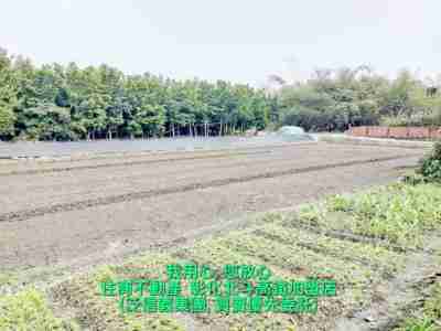 售溪州都內田地(096737)-住商不動產農地639萬
